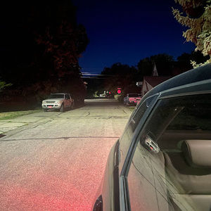 Meet your Posher, Sienna